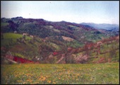 Панорама Бјелуше